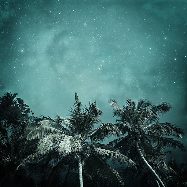 tropical background night tropic background in vintage style big island hawaii islands photos stock pictures, royalty-free photos & images