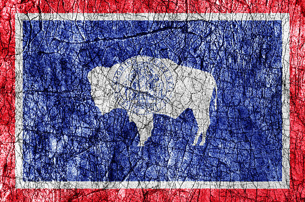 istock Grudge stone painted US Wyoming flag 542955392