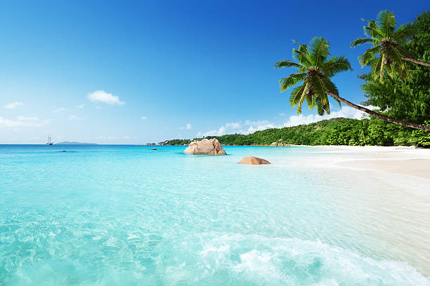 spiaggia di anse lazio a isola di praslin, seychelles - seychelles foto e immagini stock