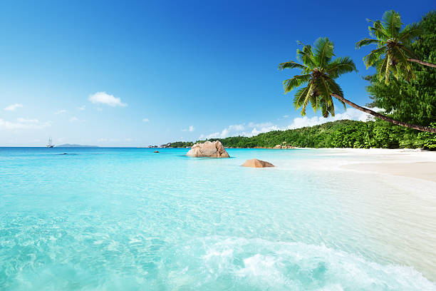 anse lazio plaży na wyspie praslin, seszele - seychelles sea lagoon tropical climate zdjęcia i obrazy z banku zdjęć