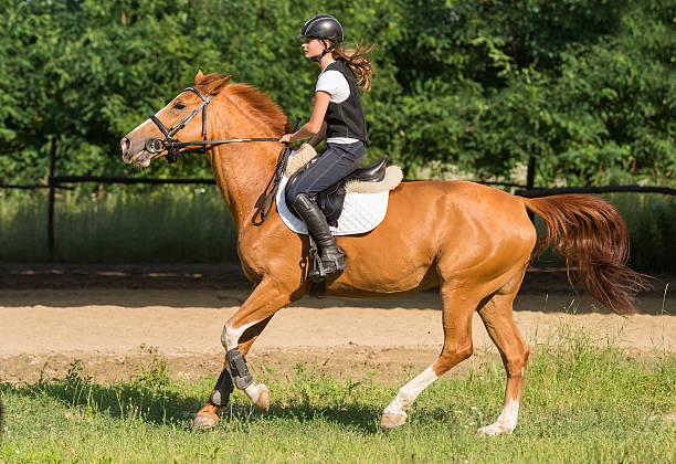 istock Girl riding a horse 542956474