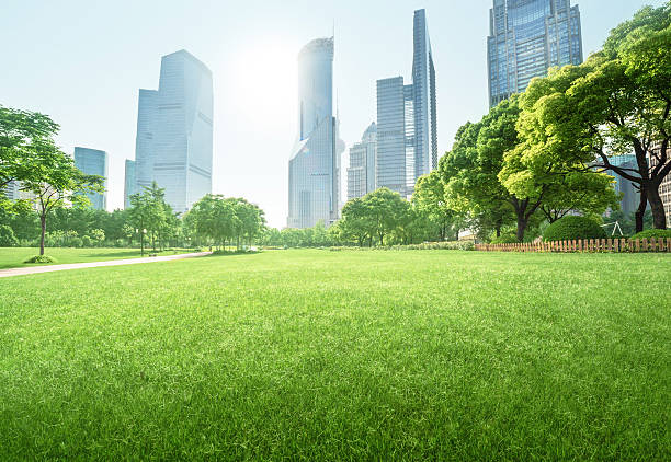 istock park in lujiazui financial centre, Shanghai, China 542956576