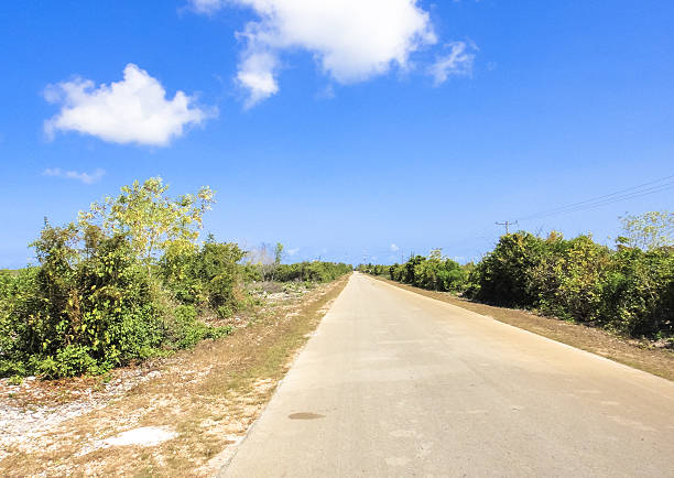 istock Road in Zanzibar 542958878
