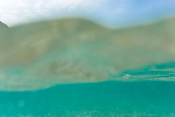 istock Under the shallow clear blue sea, Pedn Vounder Beach, Cornwall 542959018