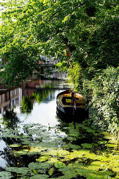 Sloop Water 4,300+ Sloop Stock Photos, Pictures & Royalty-Free Images - iStock