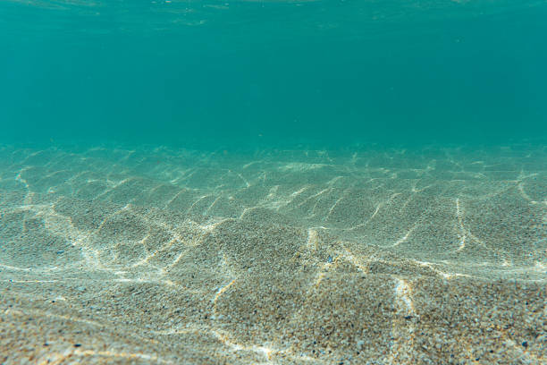 istock Under the shallow clear blue sea, Pedn Vounder Beach, Cornwall 542959666