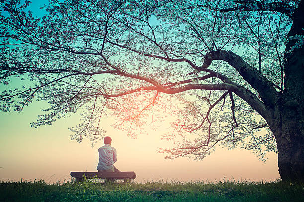 Early morning shower of light Male teenager Sitting alone on a bench in the park under a tree . park bench photos stock pictures, royalty-free photos & images