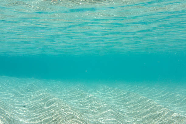 istock Under the shallow clear blue sea, Pedn Vounder Beach, Cornwall 542960040