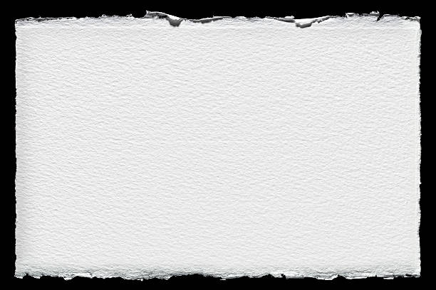 istock Watercolor paper with rough edge 542961256