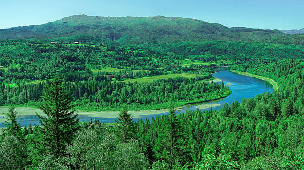 istock Landscape with River and valley in Norway 542961370