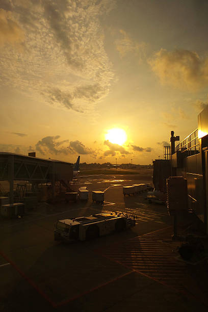istock Sunset over the airport terminal 542962042