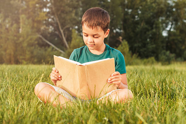 istock Young boy with a book on the grass 542962812