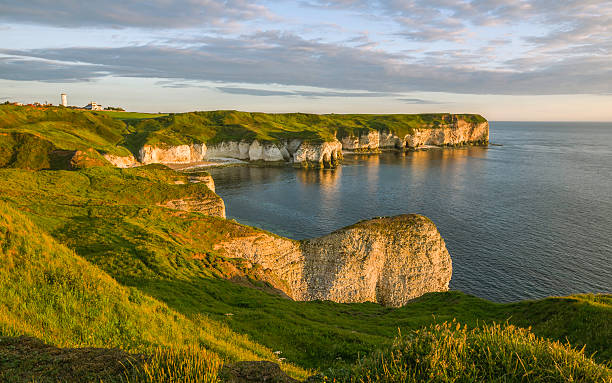 Chalk cliffs and North Sea at dawn, Flamborough, Yorkshire, UK. Flamborough, Yorkshire, UK. Chalk cliffs and North Sea at dawn on a fine summer morning near Flamborough Head, Yorkshire, UK. east riding of yorkshire photos stock pictures, royalty-free photos & images