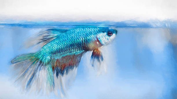 istock Colorful Watercolor paint effect, dragon beta Fighting fish 542963728