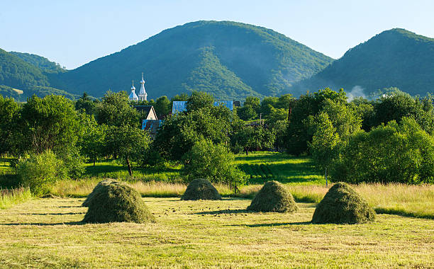 istock Farmstead near a forest in mountains on background blue sky 542966106