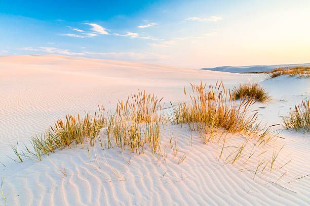 magnifique vue de la côte de dunes - beach sunrise waterbreak sea photos et images de collection