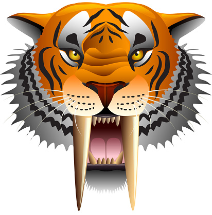 Ilustración de Cara De Tigre Dientes De Sable Aislada En Vector Blanco y más Vectores Libres de Derechos de Tigre - iStock Ilustración de Cara De Tigre Dientes De Sable Aislada En Vector Blanco y más Vectores Libres de Derechos de Tigre - iStock