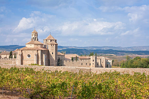 istock Beautiful view of the ancient Poblet Monastery and a vineyard 542969116