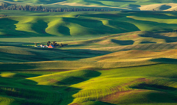 istock Red Barn Sunrise in the Palouse Wa. 542970024