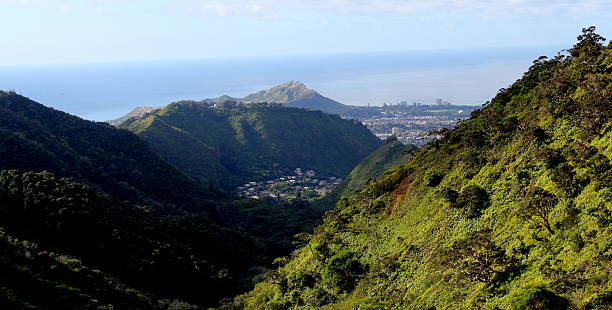 istock view from the top of the mountain 542971250
