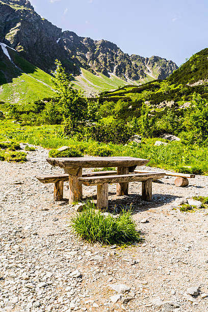 istock Bench and table on a trail in the mountains. 542972236