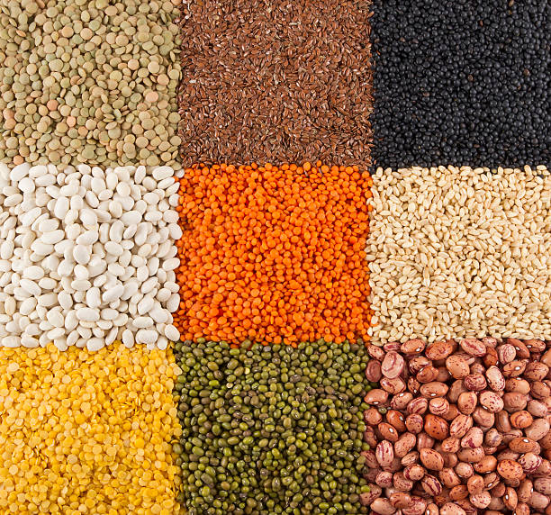 istock Varieties of Beans and Legumes 542972790