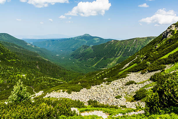 istock Spring green hues in the valley. 543042392
