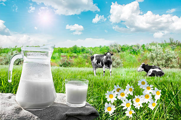 istock Glass jug with milk and a glass on the grass. 543043312