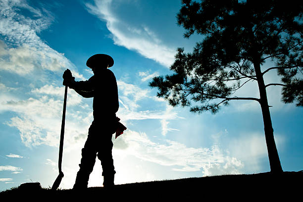 Cowboy, rancher, or farmer overlooking his crops, field after a rain storm at sunset. He is using a shovel as he stands silently on a hill.  Dramatic sky.  Pine tree.   Silhouette.  Lens flare.