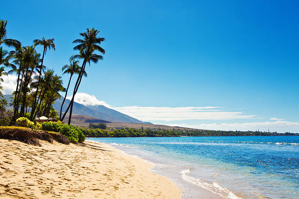 Kaanapali Beach and resort Hotels on Maui Hawaii The Kaanapali Beach on the west shore of the island of Maui in Hawaii. A beautiful sandy beach lined with luxury restaurants, resorts and hotels, a popular tourists destination in Hawaii. Photographed in horizontal format with copy space on location in Maui Hawaii. maui stock pictures, royalty-free photos & images