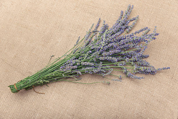 istock Bouquet of lavender on sacking. 543048506