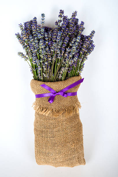 Still life with lavender on a white background - copy spaceStill life with lavender on a white background - copy space