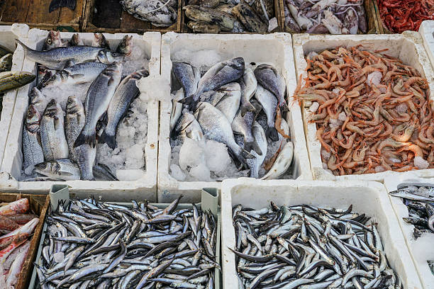 istock raw fish at market 543051416