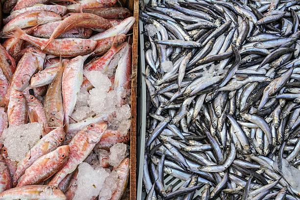 istock raw fish at market 543051756