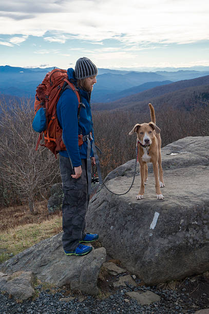 istock Man and Dog Mountain Hiking with Backpack 543052022
