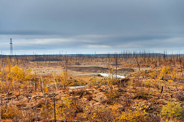 The river flows through the polar tundra.