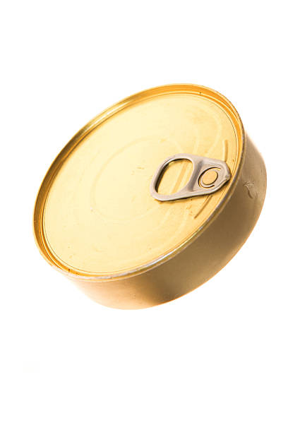 istock close can of sprats on a isolated background 543053034