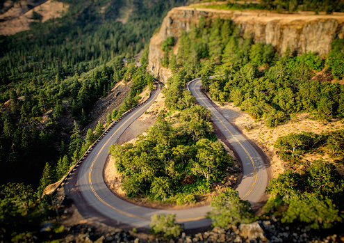 A scenic highway sharply winding through a beautiful evergreen forest with a tilt shift perspective (stock image)