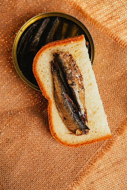 istock open can and sandwich with of sprats on sackcloth background 543053456