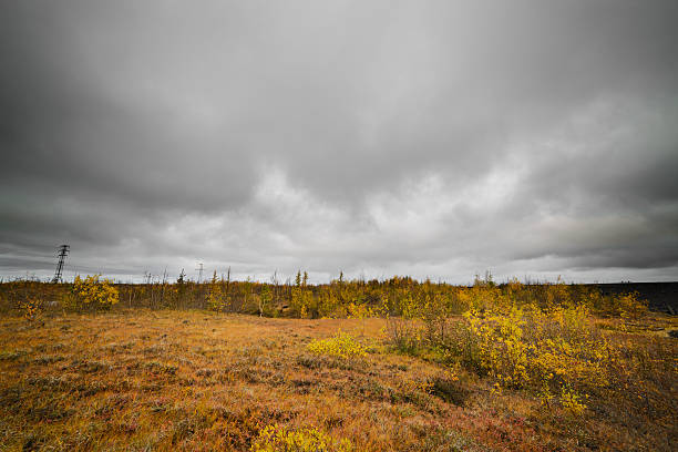istock The river flows through the polar tundra. 543053904