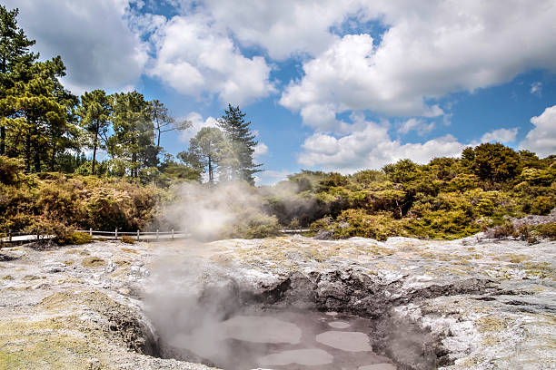 istock Wai-o-Tapu geothermal area 543056328