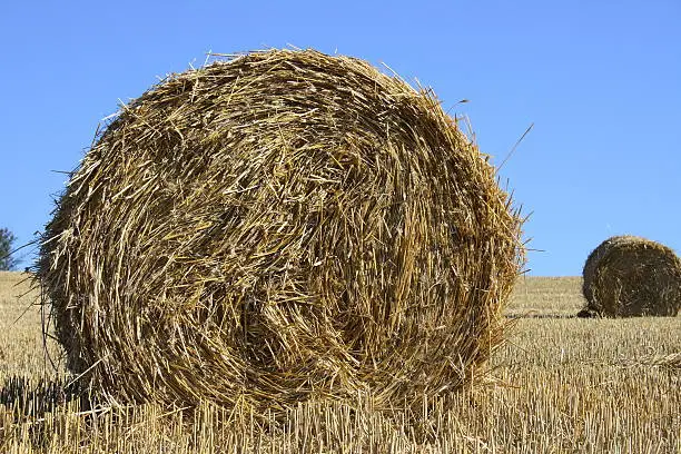 Large round straw roll with blue sky in background