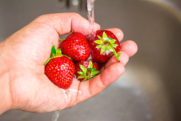 istock Ripe organic strawberry in hand under running water on kitchen 543057826