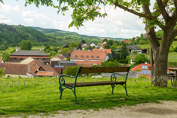 istock Bench in austrian village with view over vineyards 543058150