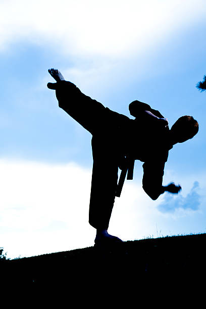 istock Person in silhouette practicing martial arts, karate. Sunset. Outdoors. Sky. 543061400