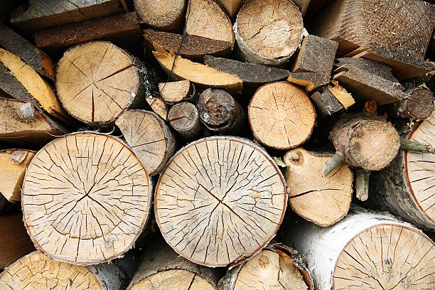 istock Wood texture wood fuel 543061692
