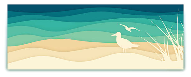 Seagull Ocean Banner Seagull ocean banner with space for your copy. EPS 10 file. Transparency effects used on highlight elements. marram grass stock illustrations