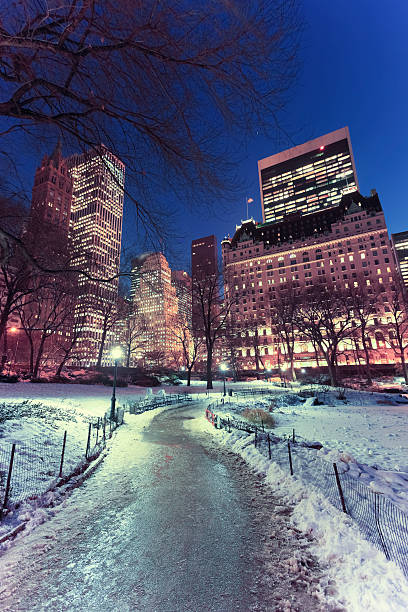 istock Central park by night, New York City 543066756