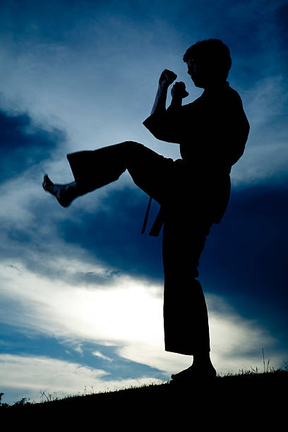 istock Person in silhouette practicing martial arts, karate. Sunset. Outdoors. Sky. 543067656