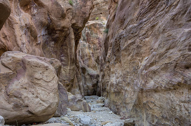 istock Canyon Wadi Muthlim in Petra, Jorda 543070358